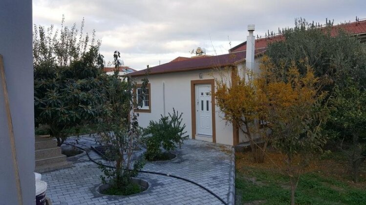  Photo 1