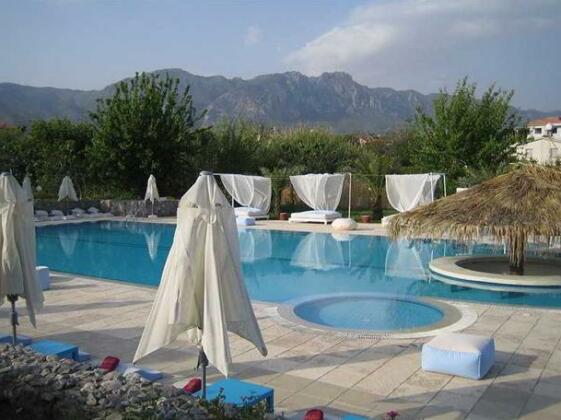 Mosquito Beach Club - Photo4