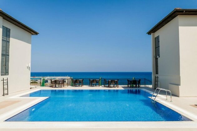 Olivia Palm Hotel - Photo3