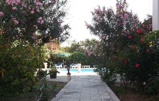 Paradise Kyrenia - Photo3