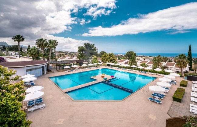 The Olive Tree Hotel - Photo3