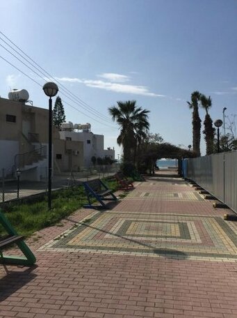 Oroklini Olive Trees Homes - Photo4