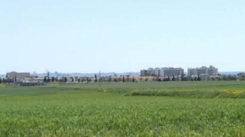 Paschalis Hotel Apartments - Photo4