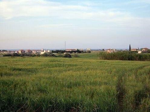 Pyla View Villas Larnaca - Photo4