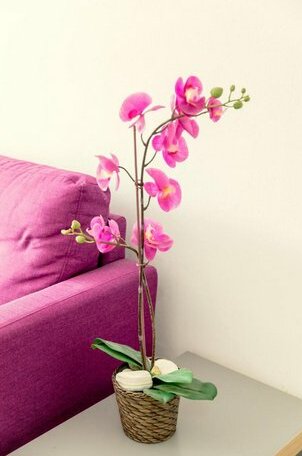 Savvas City Centre Flat - Photo3