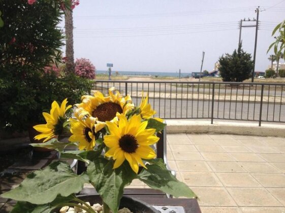 Themis Apartments - Photo5