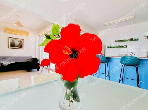 Yiallos Village Apt A101 - Photo2