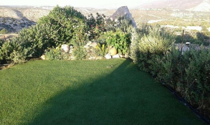 Aloe Vera Palace - Photo5