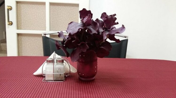Ideal Holiday House - Photo2