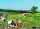 Avli Traditional Holiday Houses - Photo3