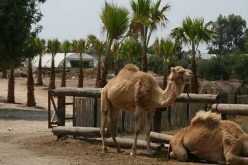 Cyprus Dream Holiday - Photo4
