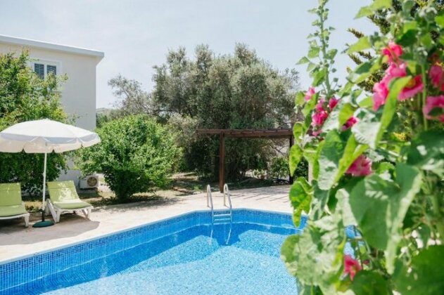 Five Greeks 4 Bedroom Villa in Paphos - Photo2