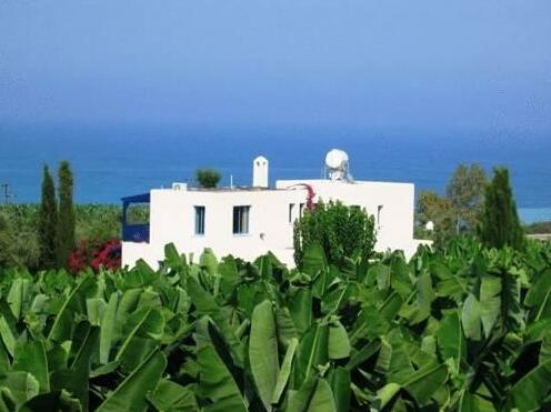 Banana Sunset Villas - Photo4