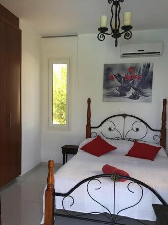 Possidon Villa - Photo2