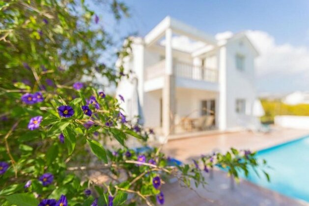 Villa Regina 2 - Photo3