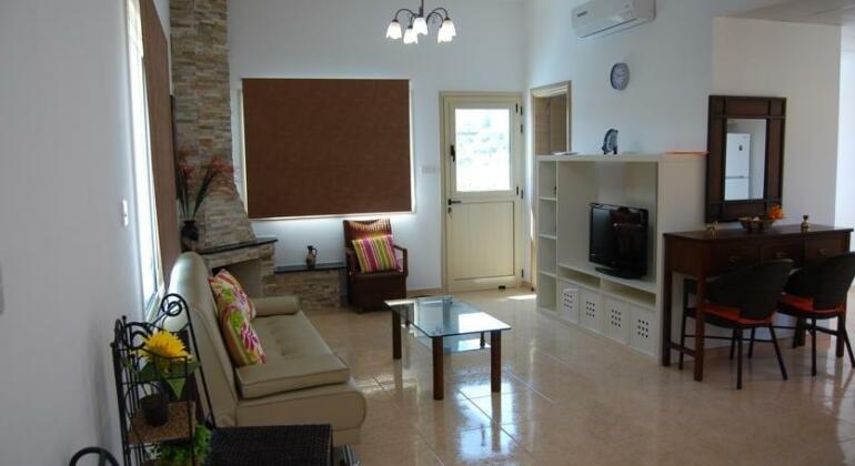 The Old Olive Tree House - Photo2