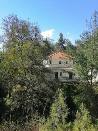 Chrystellie Group - Photo2