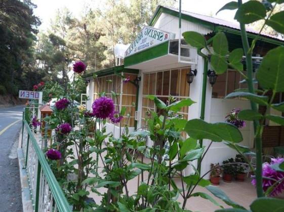 Spring Hotel Platres - Photo2