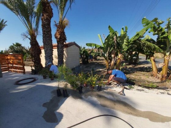 Argaka Palm Tree Apts - Photo3