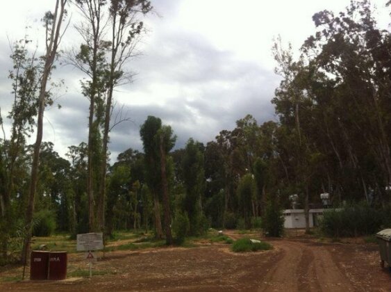 Camping Site Polis Chrisochous - Photo3