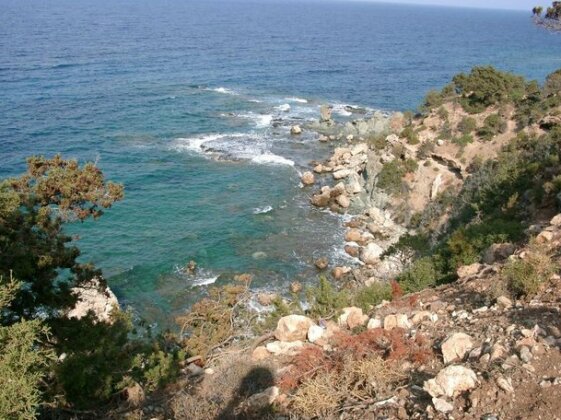 Papas Villa 3 - Photo2