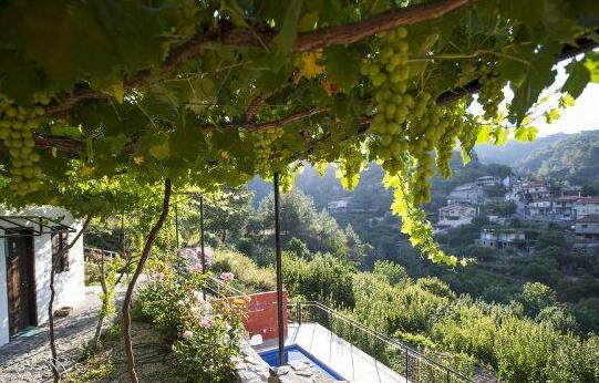 Ambelikos Traditional Agrohotel - Photo5