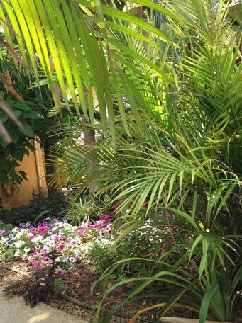 Constantaras Apartments - Photo3
