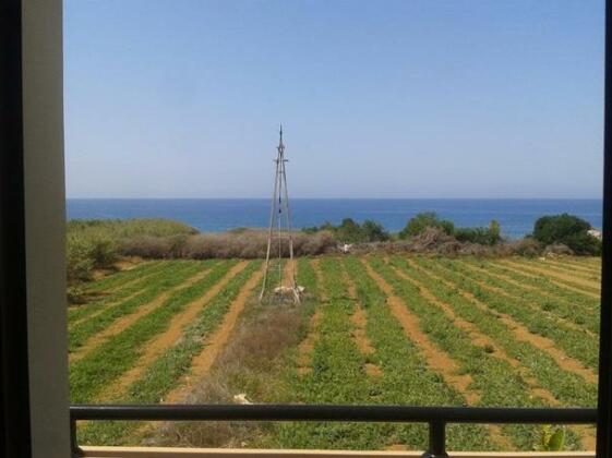 Metaxas Villas - Photo4