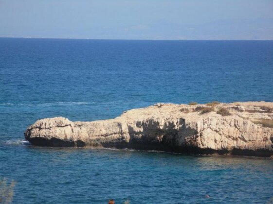Villa Malamar - Photo3
