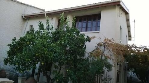 Orange Tree House