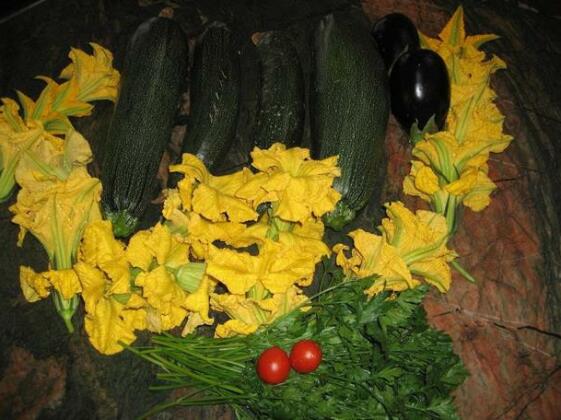 Our House Vavla - Photo5
