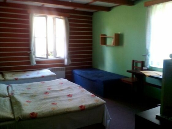 Guest House Vltavin - Photo5