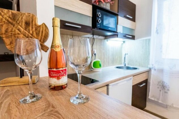 Natural apartment Brno-stred - Photo2