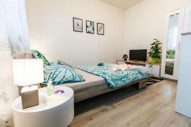 Natural apartment Brno-stred - Photo3