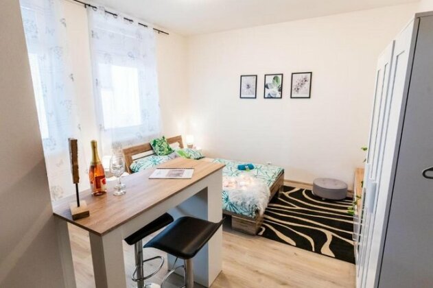 Natural apartment Brno-stred - Photo5