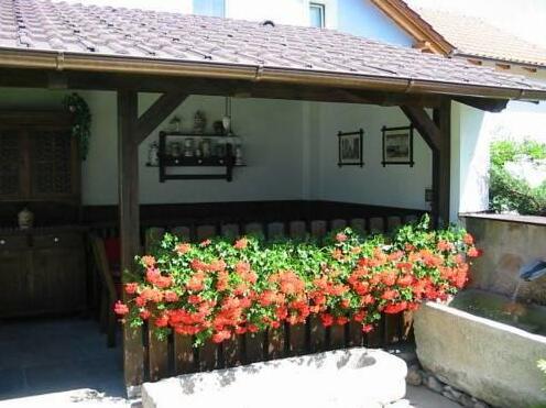 Pension Begonie - Photo3