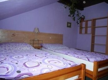 Penzion U Lesa Ceske Budejovice - Photo5