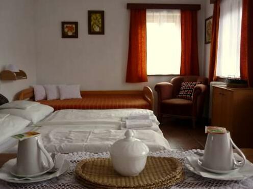 Pension Plesivecka 119 - Photo4