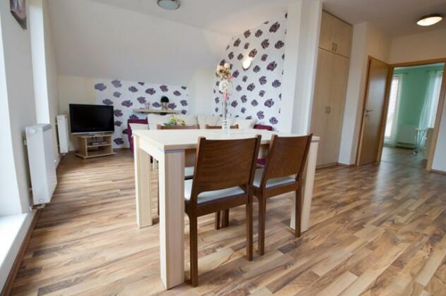 Pension Pod Skalkou - Photo3
