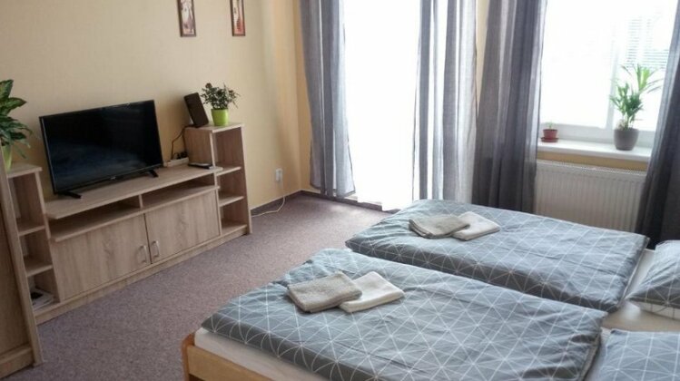 Apartma Anglicka - Photo4