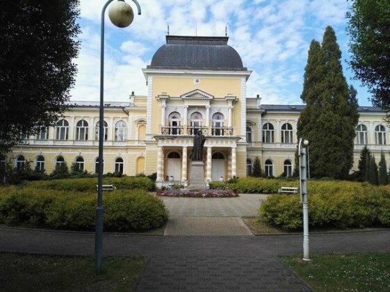 Villa Joanna Frantiskovy Lazne - Photo2