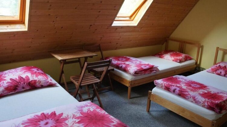 Pension U Dubu Jindrichovice - Photo4