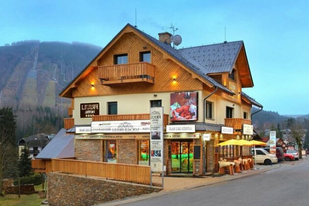 Hotel Friuli Harrachov - Photo4
