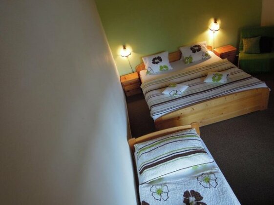Pension Apartmany Sport Cermak - Photo4