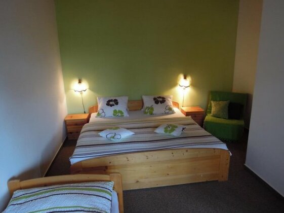 Pension Apartmany Sport Cermak - Photo5