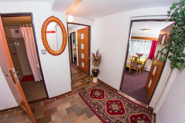 Pension Simona - Photo4