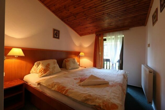 Pension Venus Harrachov - Photo2