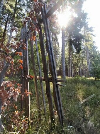 Prazdninovy dum Na Panorame - Photo4