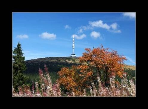 Hotel Dzban - Photo5