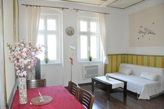 Apartment Stanislava Karlovy Vary - Photo5